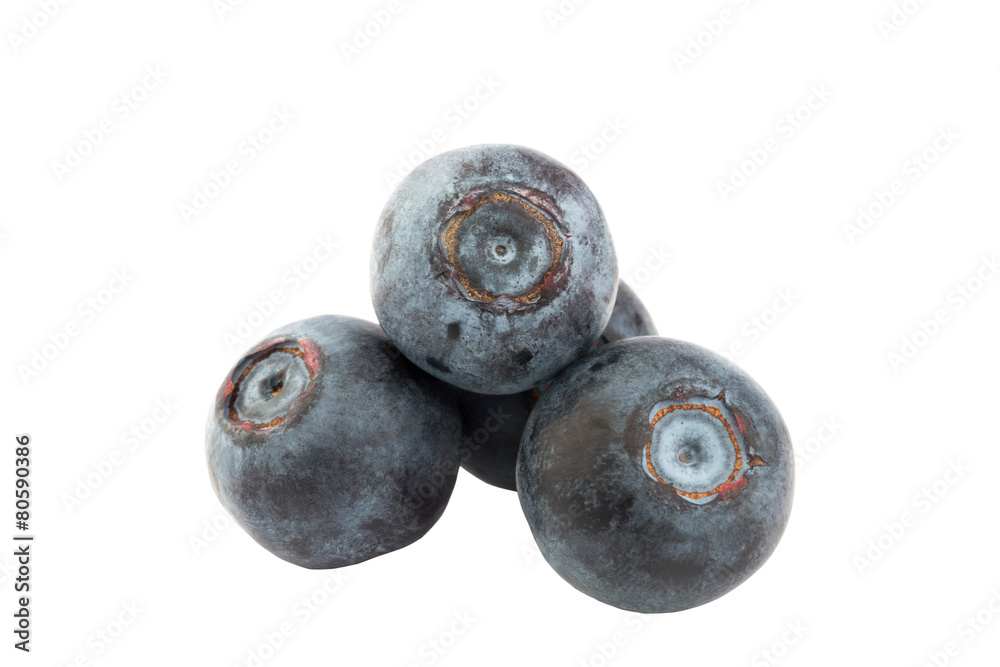 blueberries isolated on white background blueberries isolated on white background