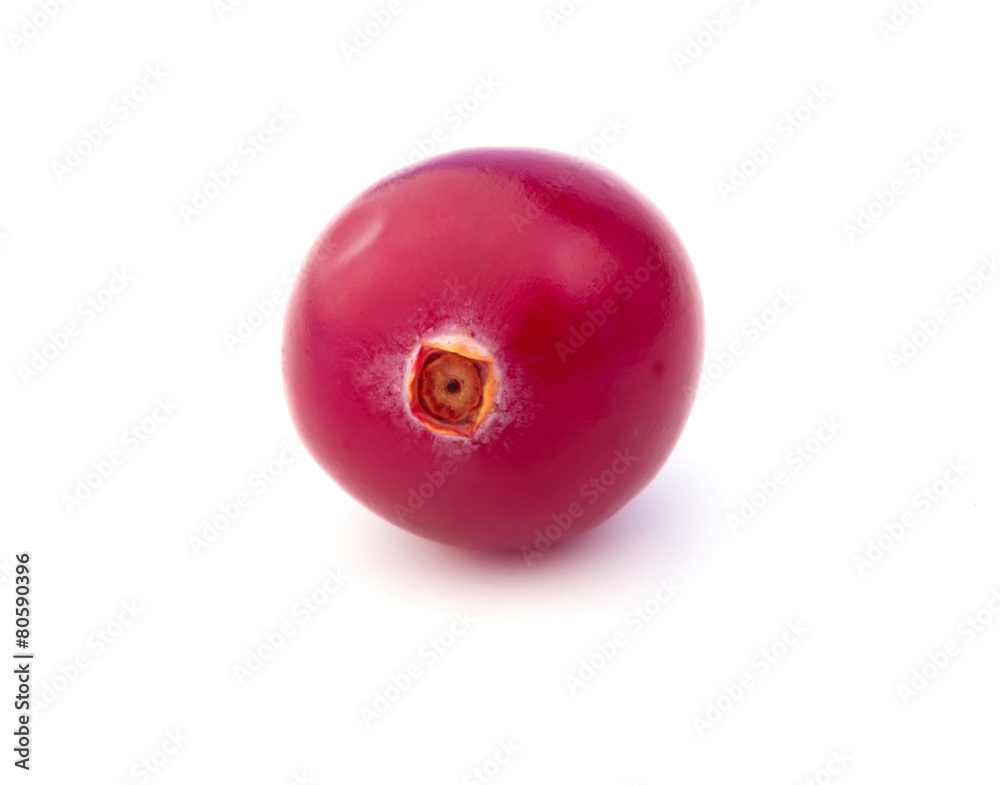cranberry isolated on a white background cranberry isolated on a white background