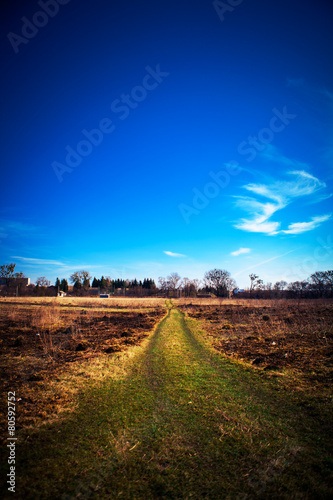 Beatiful morning green field with blue heaven