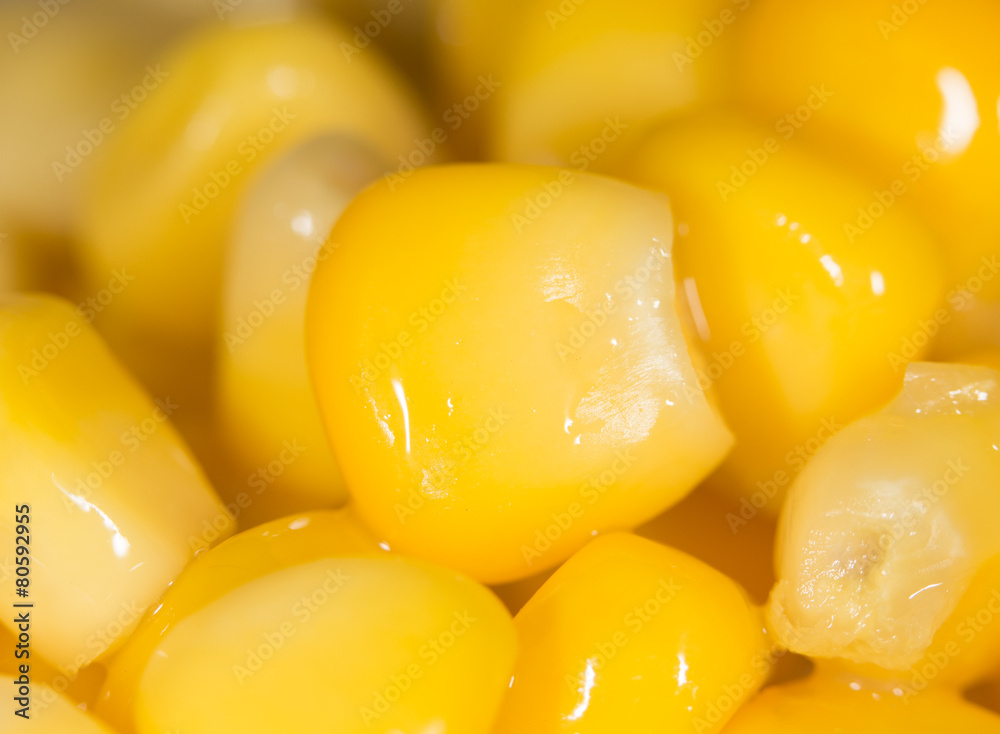 Raw canned corn texture wallpaper Raw canned corn texture wallpaper
