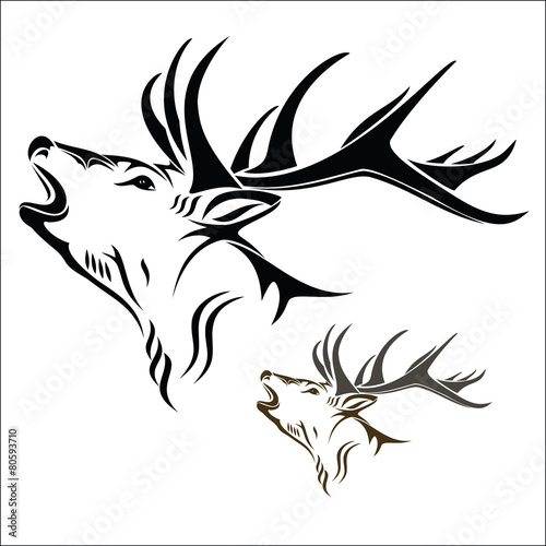 Deer head