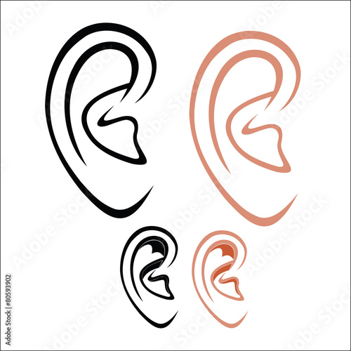 Human ear