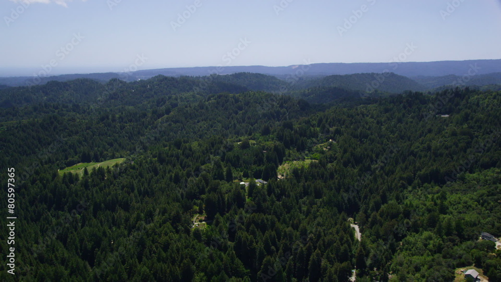 Aerial view of California State Park green forest Aerial view of California State Park green forest