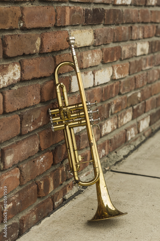Fototapeta premium Old Trumpet Brick Wall