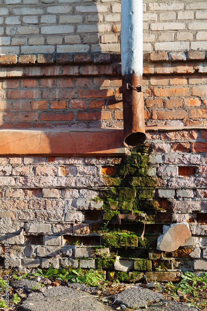Moss and damp on a brick wall