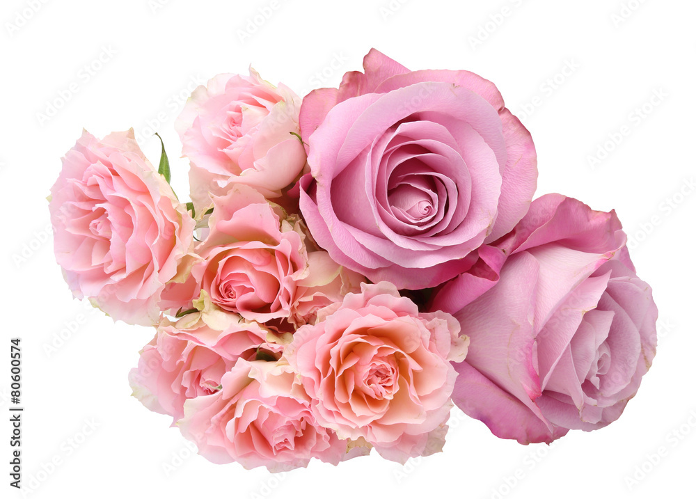 薔薇 薔薇