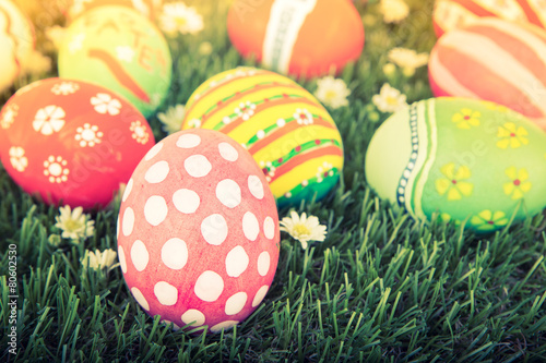 Easter Eggs with flower on Fresh Green Grass ( Filtered image pr