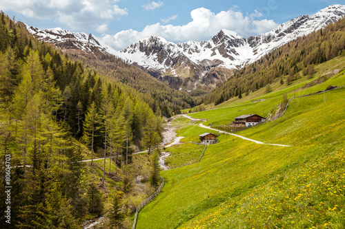 Almhütten in Südtirol photo