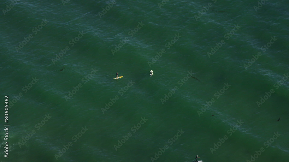 Aerial view of surfers and paddle boarders