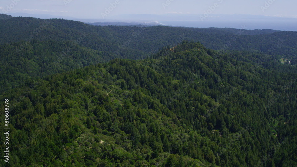 Aerial view of California State Park green forest Aerial view of California State Park green forest