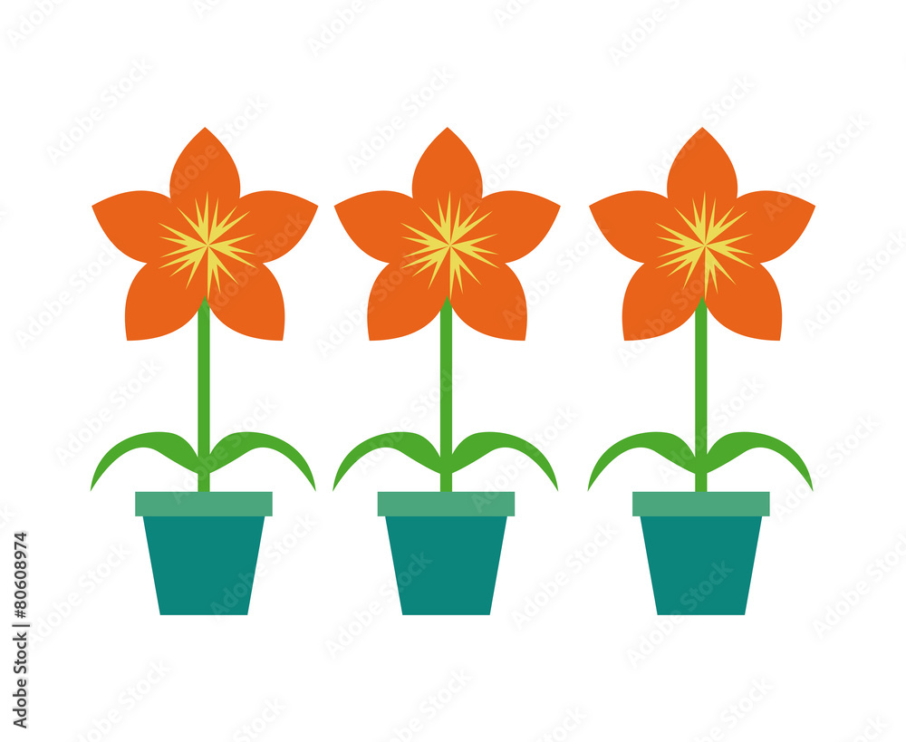floral card floral card