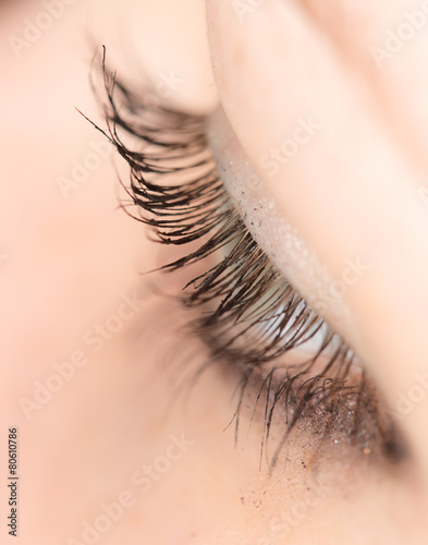 Closeup view of eye lashes