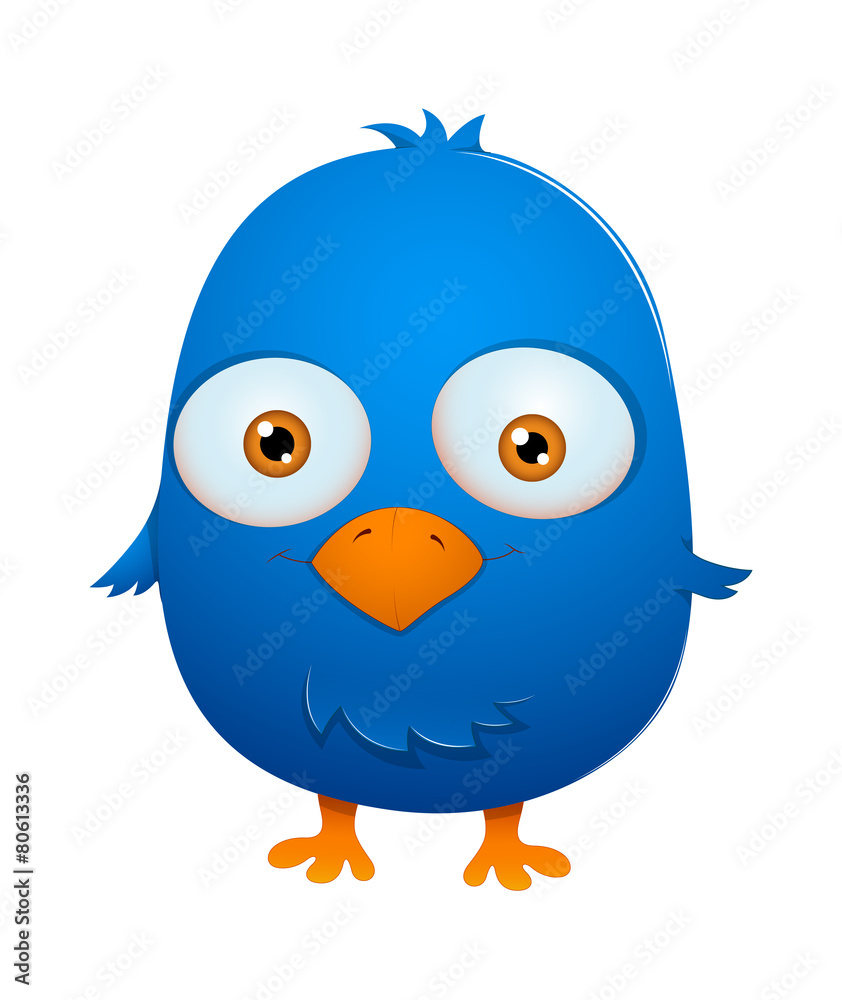 Cute Funny Bird Cute Funny Bird