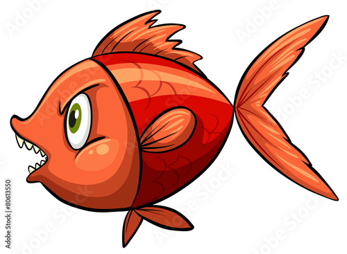 Red fish