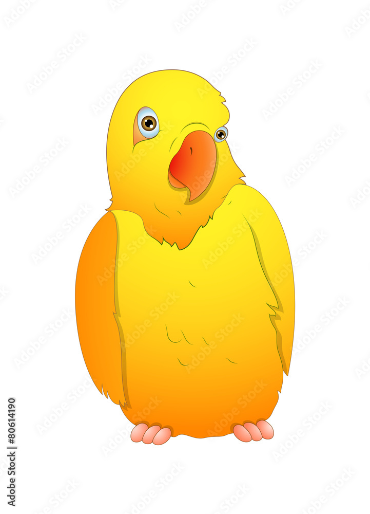 Fototapeta premium Cute Cartoon Bird Vector Illustration