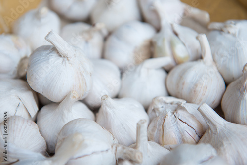 Many fresh white garlic for sale