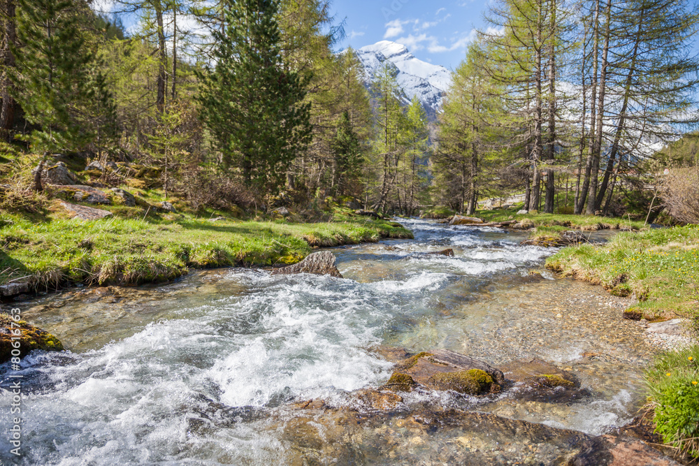 Gebirgsbach in Südtirol Gebirgsbach in Südtirol