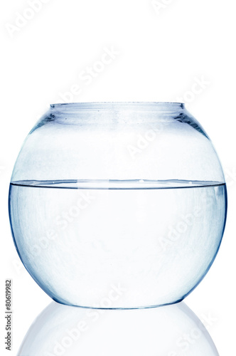 Fishbowl on white background