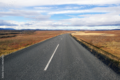 Modern road goes to horizon passing the great Iceland landscape