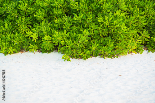Εκτύπωση καμβά Sand beach and ocean wave, South Male Atoll. Maldives