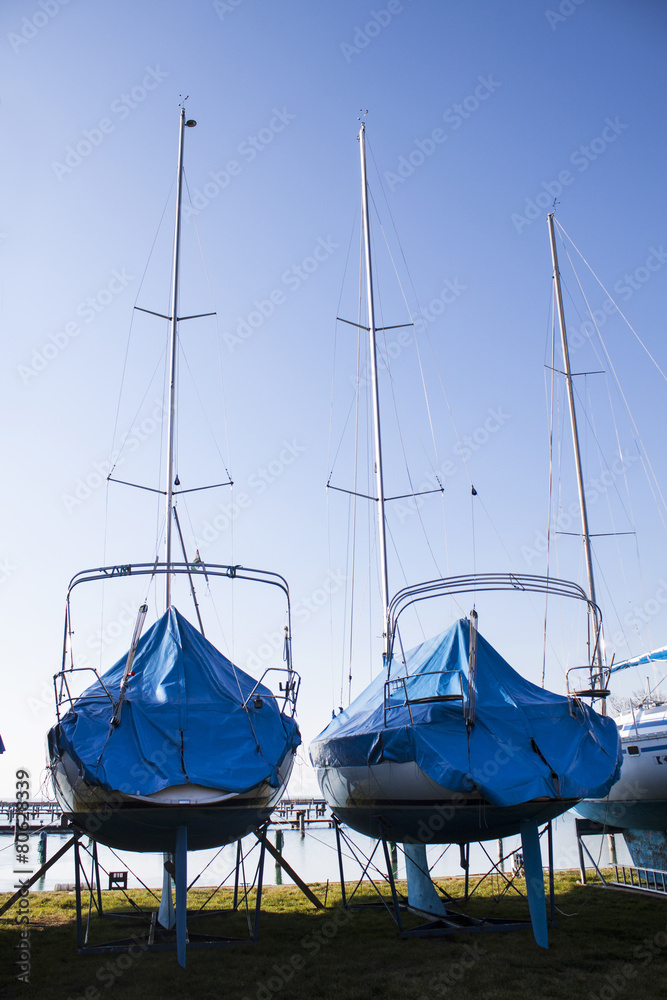 sailboats stored in a marina