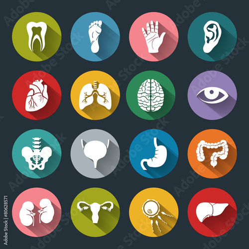 Set of vector Medical Icons with human organs in flat style