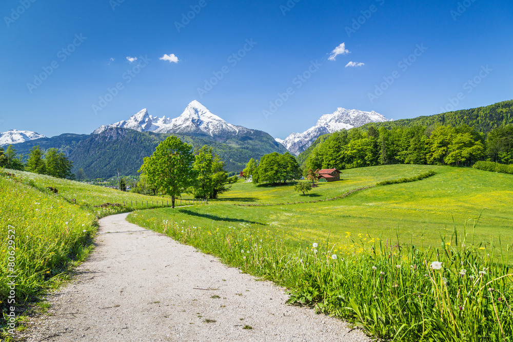Idyllic summer landscape in the Alps