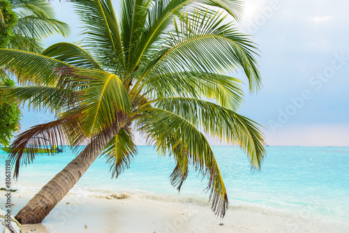 Fotografie, Obraz Písečná pláž a oceán vlna, Jižní Male Atol. Maledivy