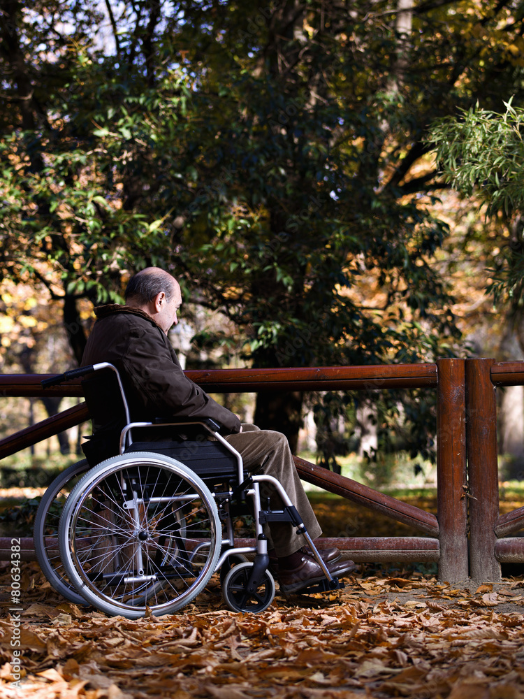 Mature man in wheelchair, in a park, one autumn day Mature man in wheelchair, in a park, one autumn day