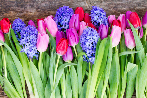 blue hyacinth and  tulips #80635771