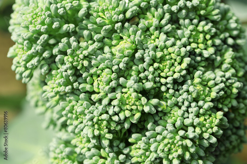 Close up of cauliflower broccoli plant growing in a vegetable ga