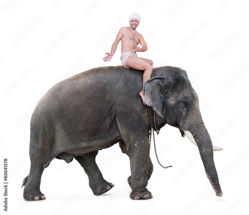 Fototapeta Mahout jeździ na słoniu