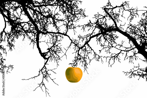Apple on a branch