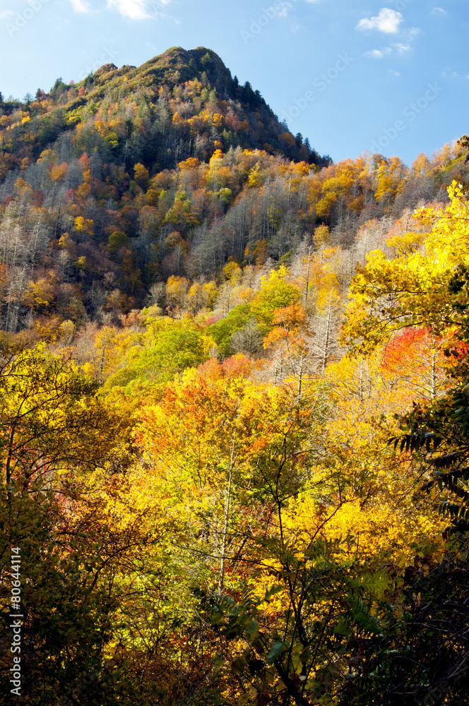 The Chimneys mountain in fall colors.