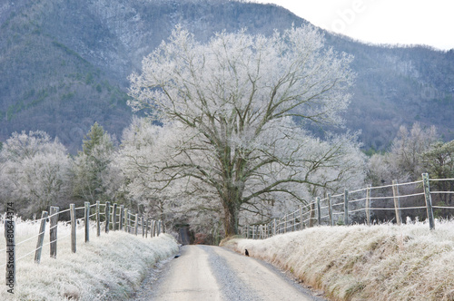 Frost on the roads and fields of Cades Cove.