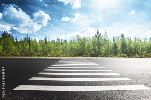 asphalt road in forest