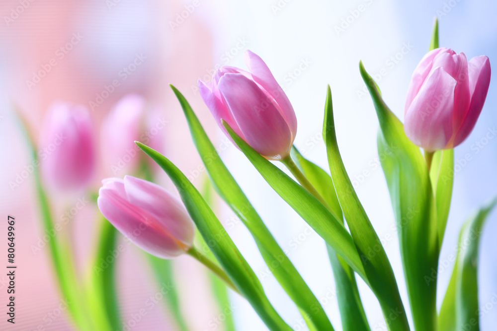 Beautiful pink tulips on bright background Beautiful pink tulips on bright background