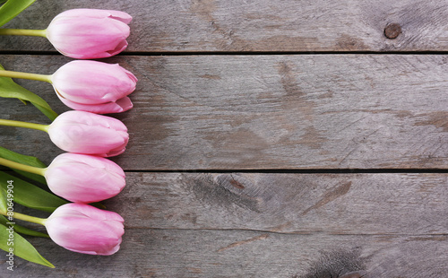 Beautiful pink tulips on wooden planks background