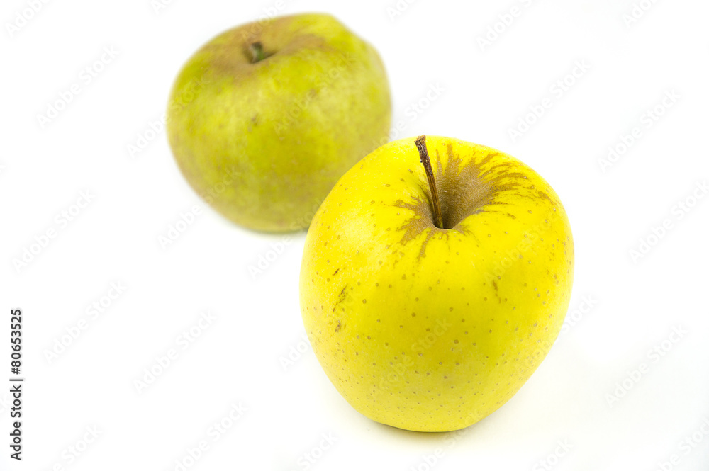 apples green and yellow
