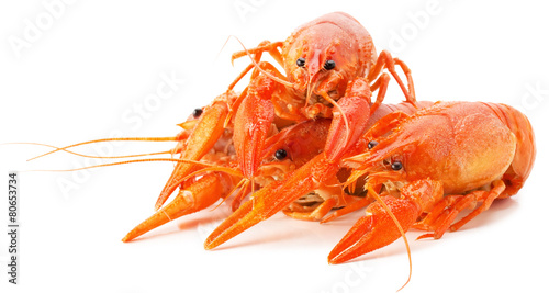 boiled lobster isolated on a white background