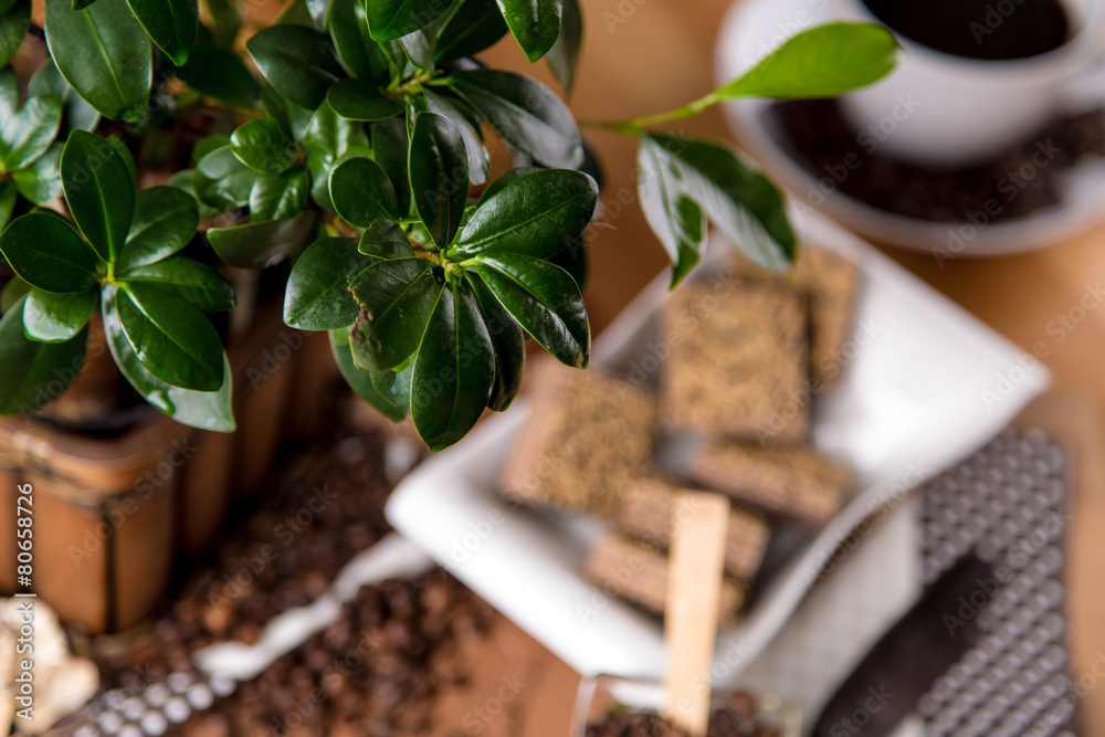 Ambient theme of coffee, organic food Ambient theme of coffee, organic food