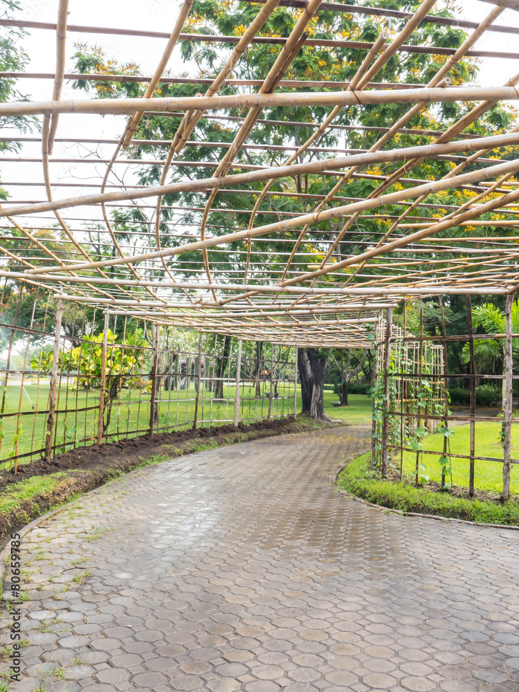 Bamboo roof for vine creeper plant