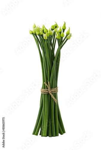 Onion flower isolated on white background