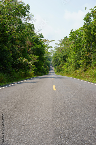Forest road at Khaoyai National Park (The World Heritage of natu