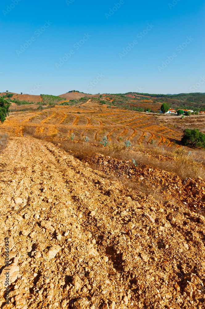 Naklejka premium Plowed Terraces