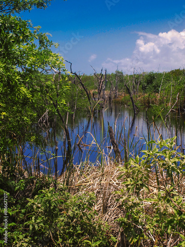 little blue hole in riviera maya