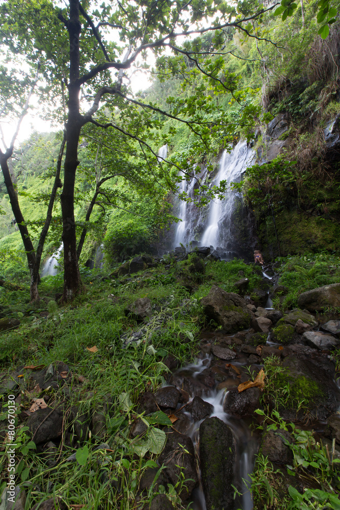 Fototapeta premium Cascade de l'anse des Cascades à la Réunion