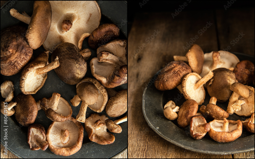 Fototapeta premium Compilation of images of Fresh shiitake mushrooms in moody natur