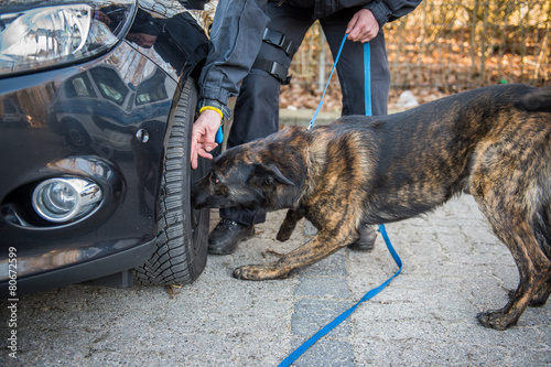Drogenspürhund der Polizei