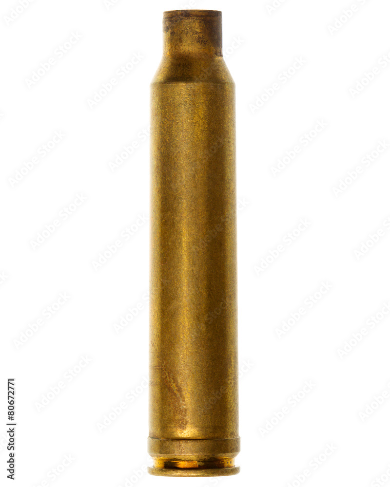 Shotgun Cartridge